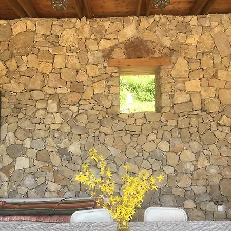 בית נופש Henye Homes *