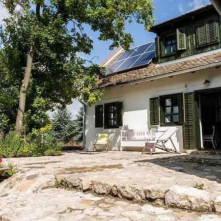 Henye Homes Case de vacanță Balatonhenye