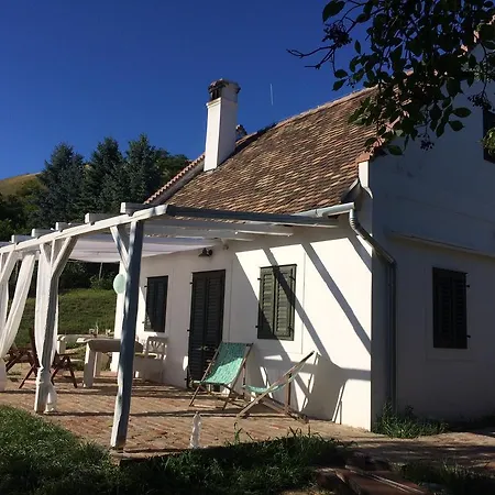 Henye Homes Case de vacanță Balatonhenye