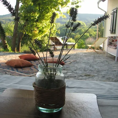 Case de vacanță Henye Homes Balatonhenye